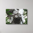 Search for birch tree canvas prints Nature