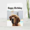 Search for middle age cards Funny