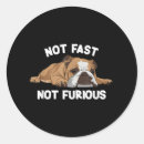 Search for funny english bulldog stickers Pet