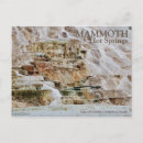 Search for mammoth postcards Vacation