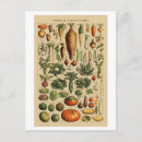 Search for vegetation postcards French