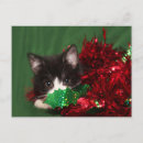 Search for christmas kitten postcards Xmas