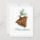 Search for pinus Forest