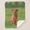 Search for labrador blankets Pets