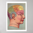 Search for brain chart posters Phrenology