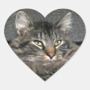 Search for gray tabby cat stickers Animal