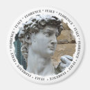 Search for michelangelo magnets David
