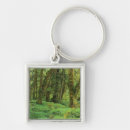 Search for rain forest key rings Nature