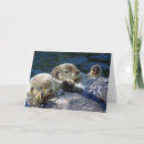 Search for sea otter cards Furry