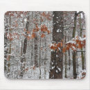 Search for snow storm electronics Nature