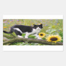 Search for tuxedo cat stickers Animal