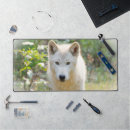 Search for timber wolf electronics Canine