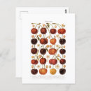 Search for vintage cherries postcards Retro