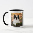 Search for purebred mugs Canine