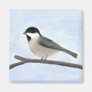 Search for chickadees magnets Black capped chickadee