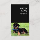 Search for lucky business cards Animals