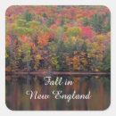 Search for maple trees stickers Woods