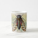 Search for marsh mugs Nature