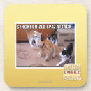 Search for attack coasters I can has cheezburger