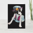Search for jack halloween cards Dog