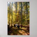 Search for forrest posters Nature