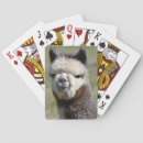 Search for alpaca playing cards Cute