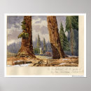 Search for big tree posters Vintage