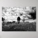 Search for white horses posters Photography