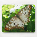 Search for tropical butterfly mouse mats Nature