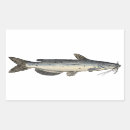 Search for catfish stickers River