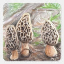 Search for morel mushroom stickers Morels