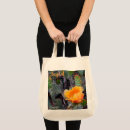 Search for arid bags Cacti