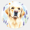 Search for golden retriever stickers Floral
