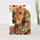 Search for red golden retriever Green