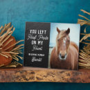 Search for pet portraits Equine