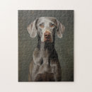 Search for weimaraner puzzles Grey
