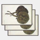 Search for rays wrapping paper Vintage