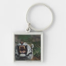 Search for risks key rings Nature