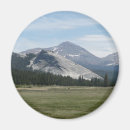 Search for sierra magnets Landscape