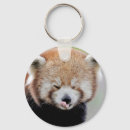 Search for wild animal key rings Nature