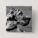 Search for working dog badges Great dane