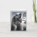 Search for cocker spaniel funny cards Friend