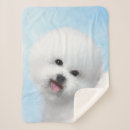 Search for bichon frise blankets Dog