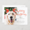 Search for cat lover christmas cards Dog