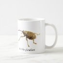 Search for weevil mugs Beetle
