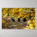 Search for travel alaska posters Bear