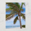 Search for aruba vacation postcards Sand