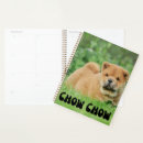 Search for chow chow gifts Chow chow puppy