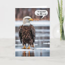 Search for eagle birthday cards Wildlife