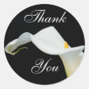 Search for cala lilly Engagement